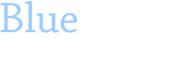 Blue Swift Technologies